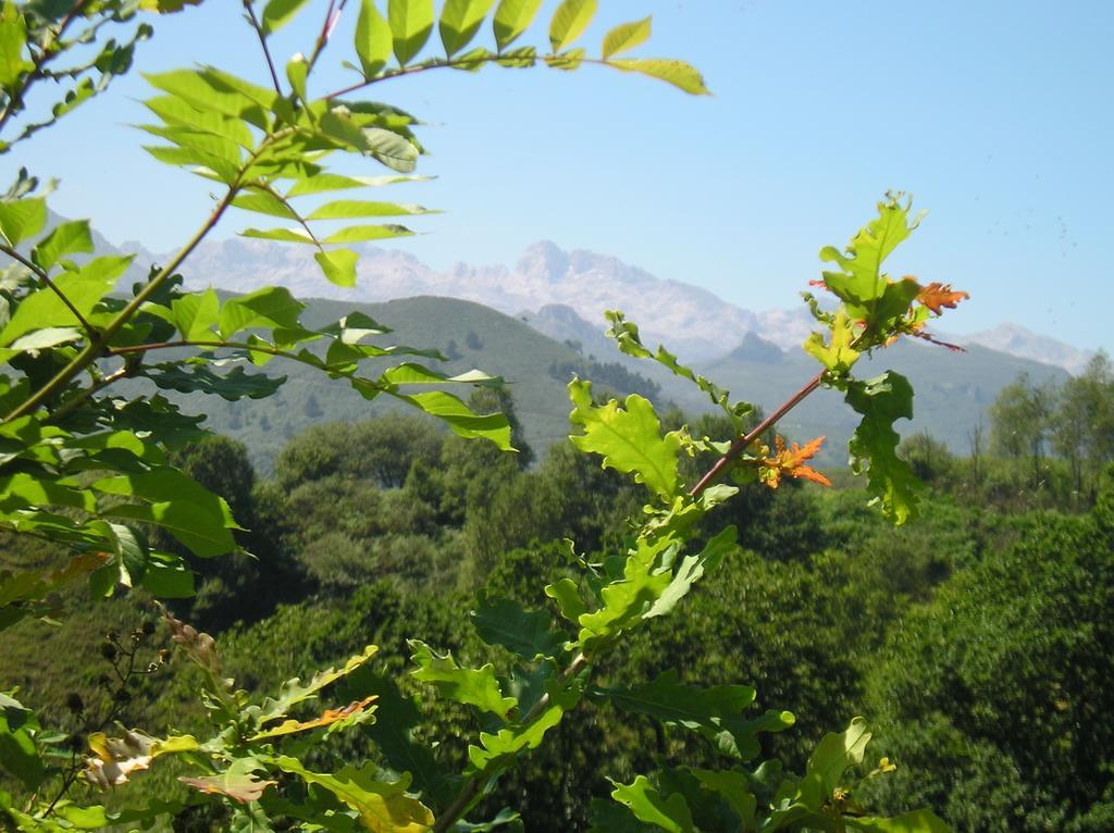 Casa Rural Alborada Bobia de Arriba Dış mekan fotoğraf
